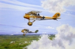 Click to view Pfalz.jpg