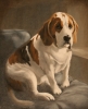 Click to view Benson.jpg